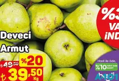 DEVECİ ARMUT KG DEVECİ ARMUT KG